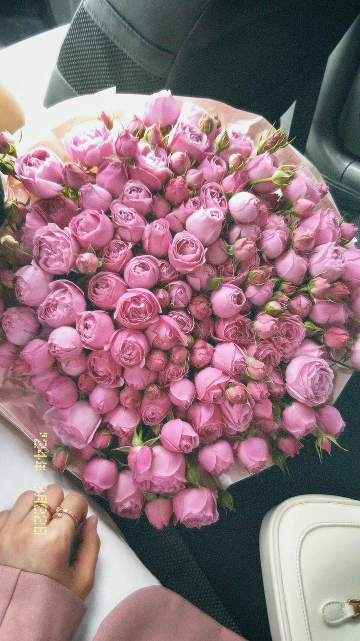 Celestial Blooms: Harmony in Hues 
